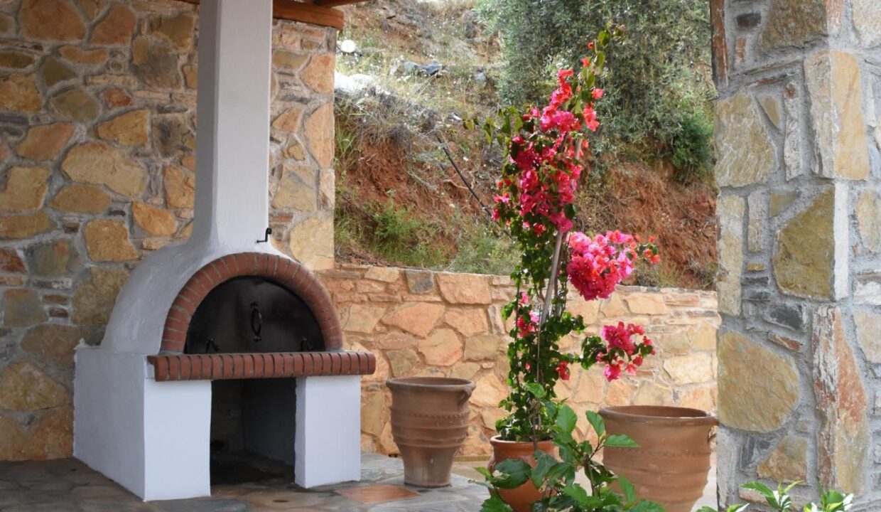 Barbeque1_Goddess_Athena_Apartment_Nies