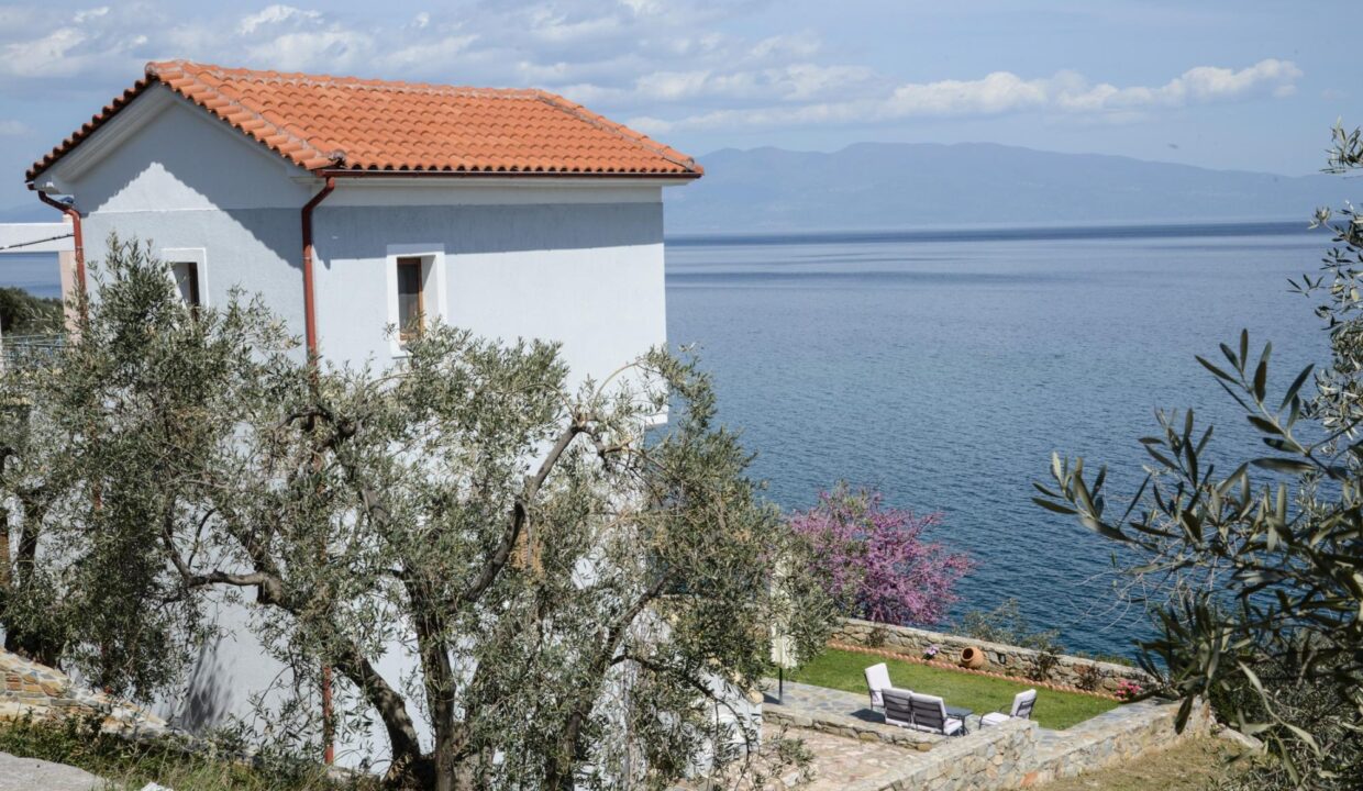 Building_Goddess_Athena_Apartment_Nies