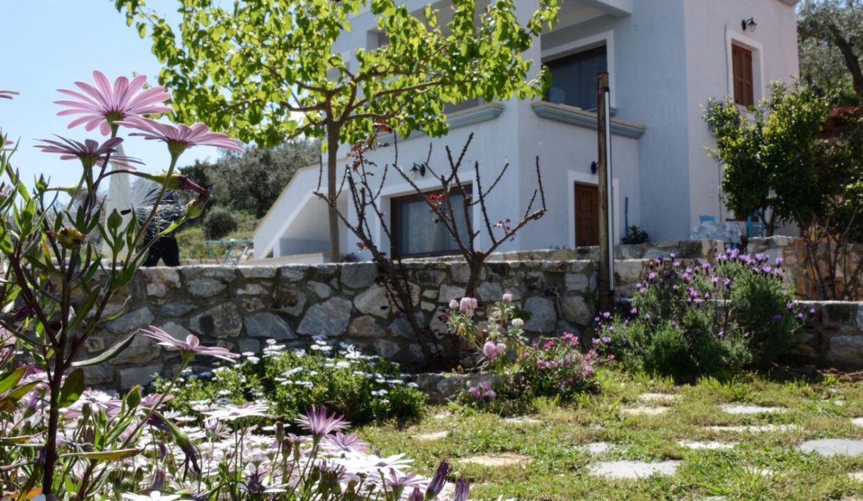 Garden1_Goddess_Athena_Apartment_Nies