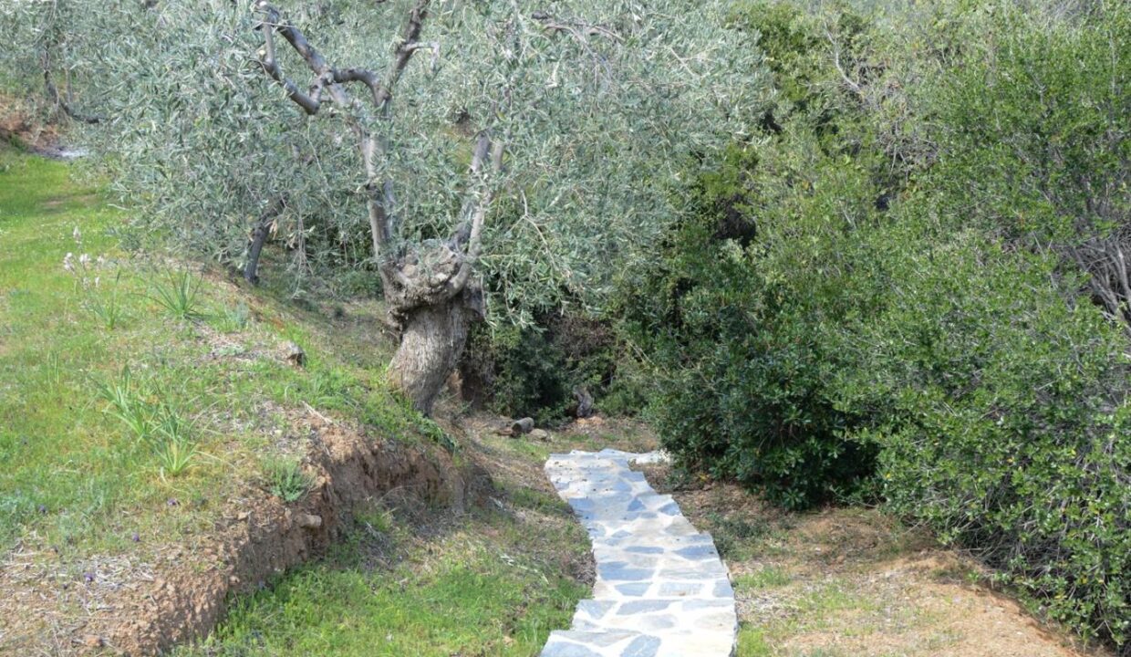 Garden2_Goddess_Athena_Apartment_Nies