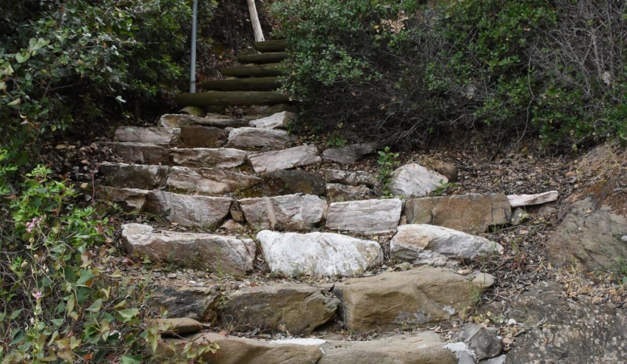 Garden3_Goddess_Athena_Apartment_Nies