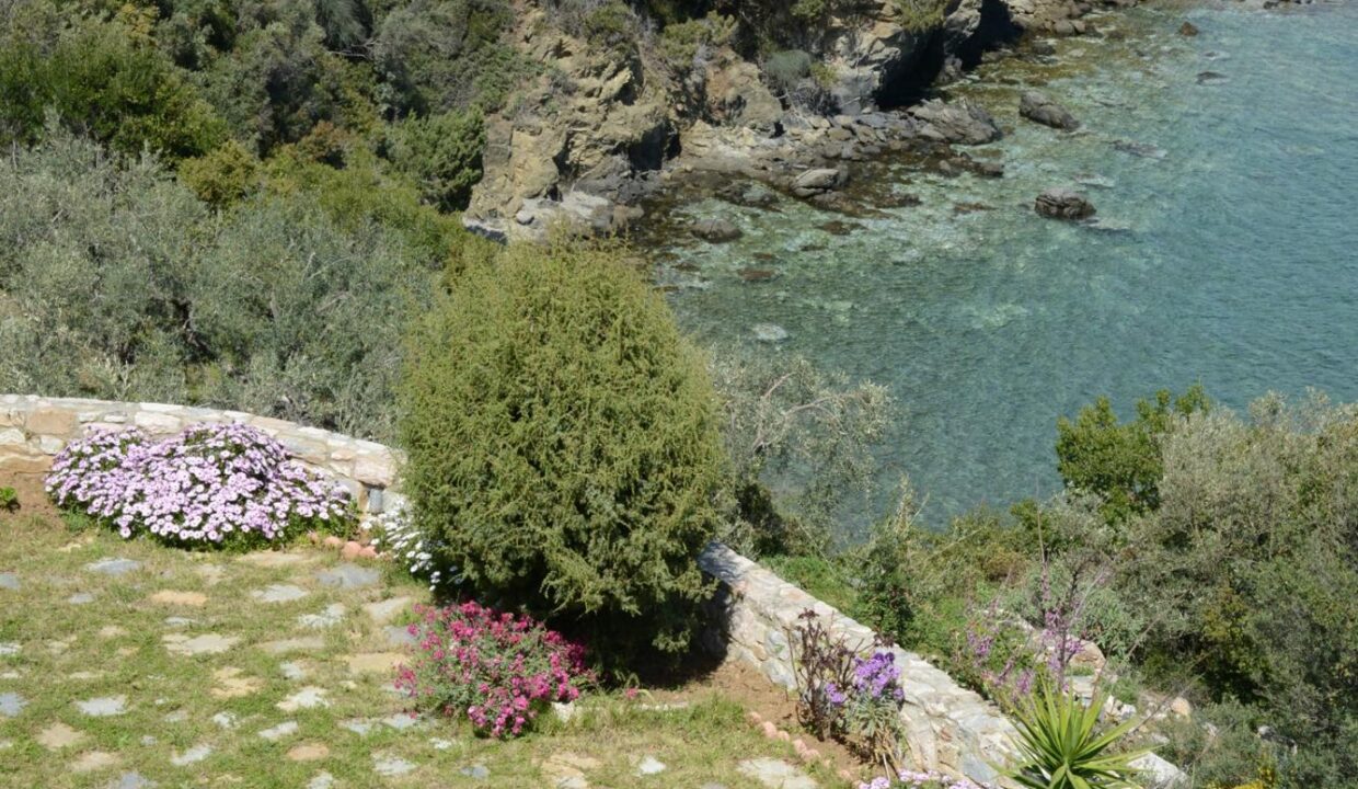 Garden_View_Goddess_Athena_Apartment_Nies