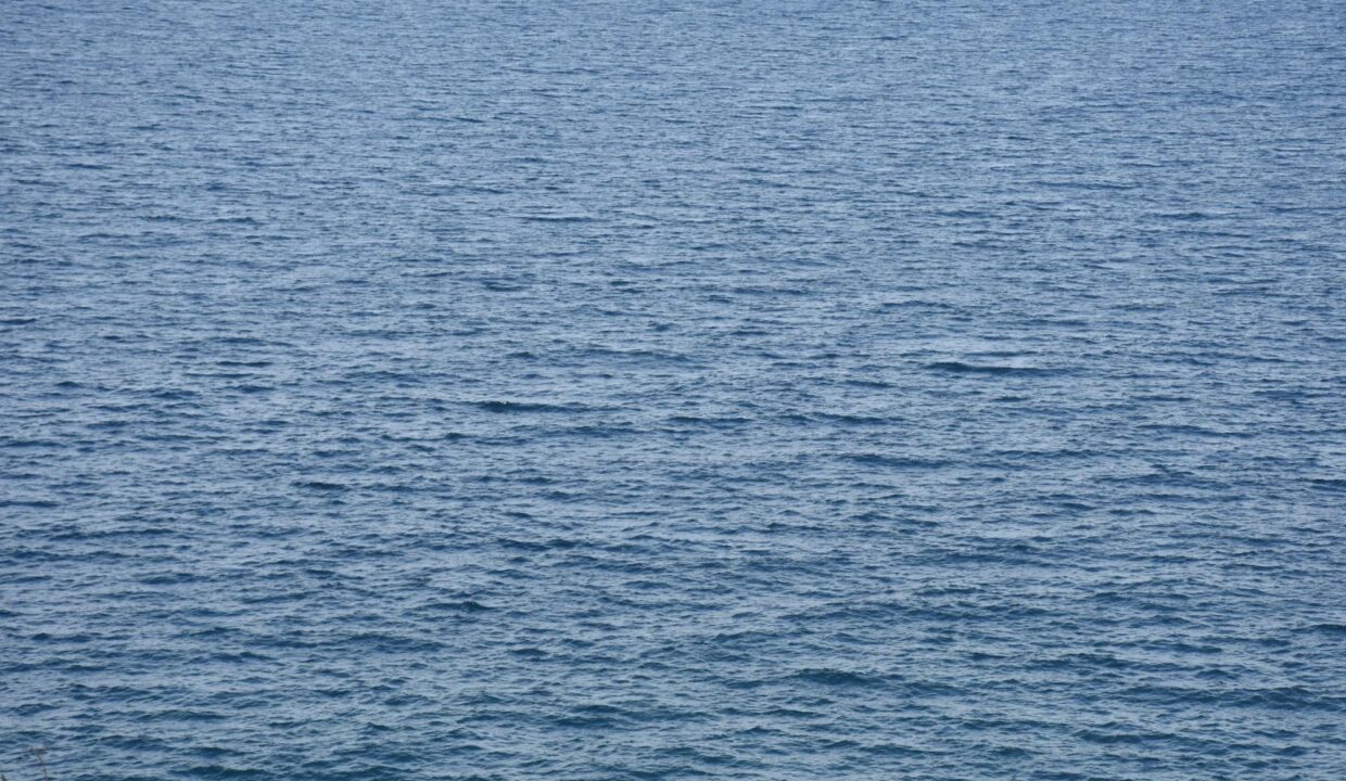 Landscape1_Goddess_Athena_Apartment_Nies