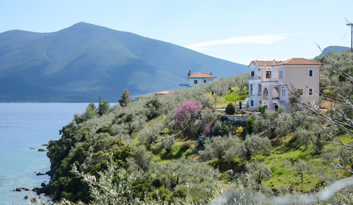 Landscape2_Goddess_Athena_Apartment_Nies