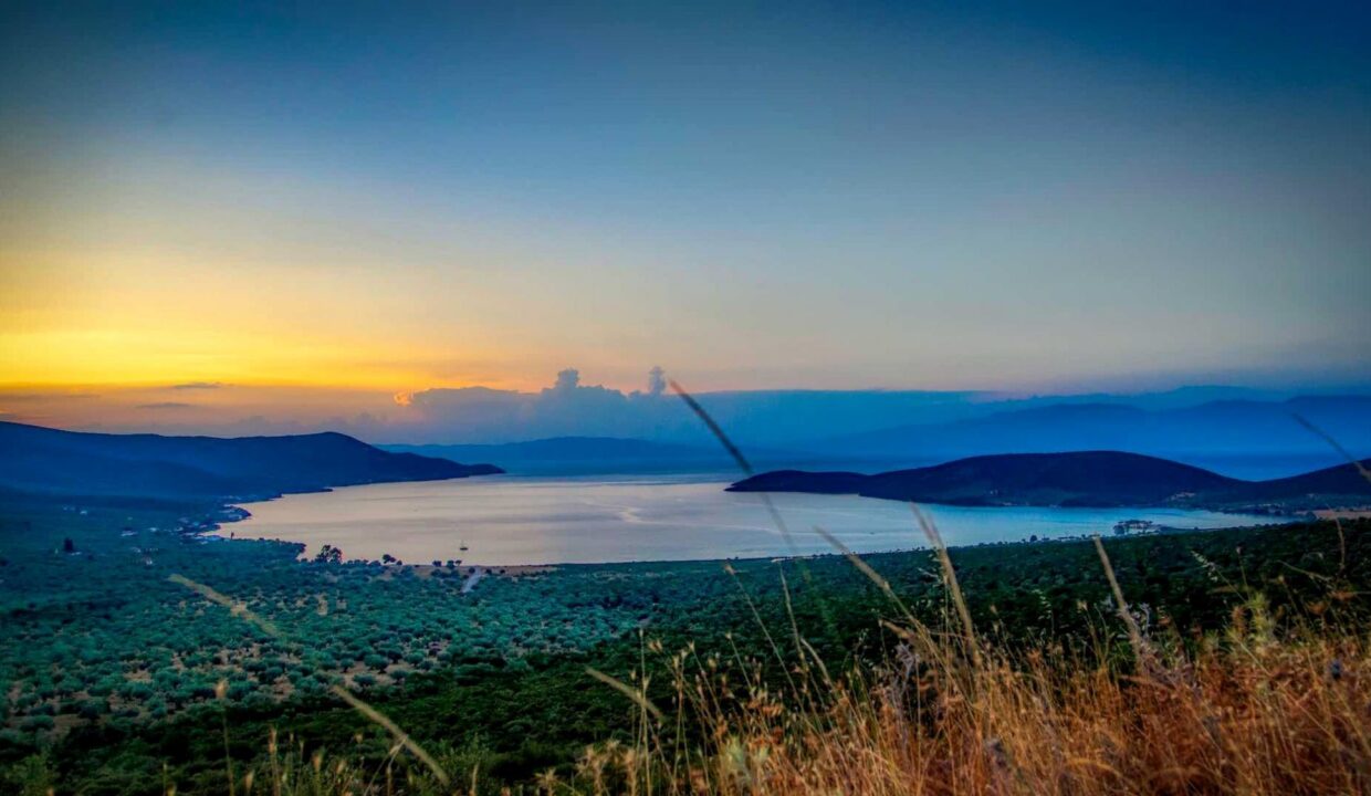 Landscape_Goddess_Athena_Apartment_Nies