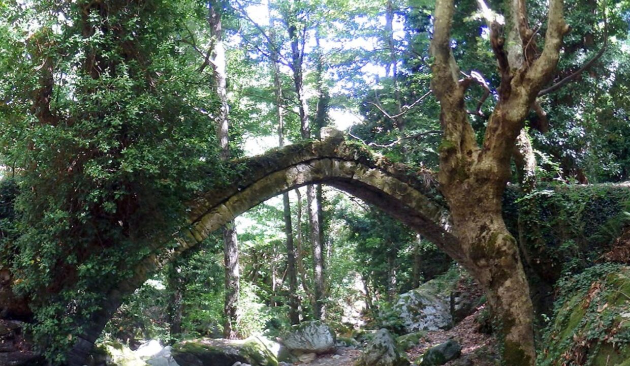 Landscape_Suite_ARCHONTIKON_Pelion_Archontiko_Michael_Vizitsa