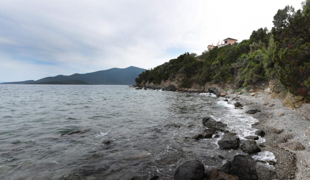 Local_Beach1_Goddess_Athena_Apartment_Nies