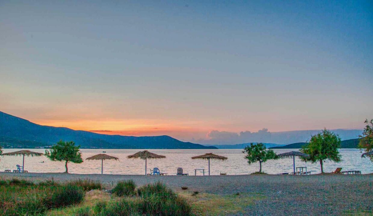 Local_Beach_Goddess_Athena_Apartment_Nies