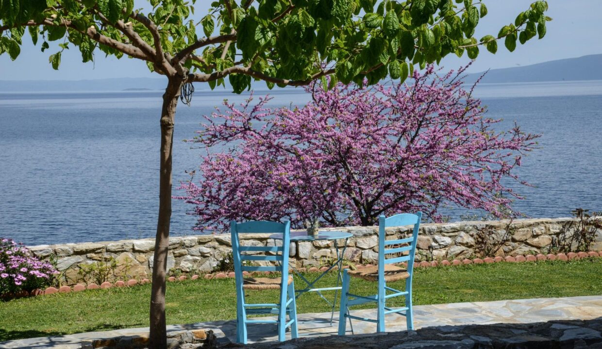 SeaView_Goddess_Athena_Apartment_Nies