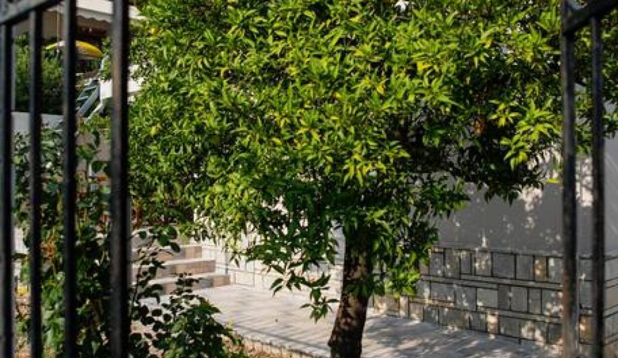 Garden_View_Bettys_Four_Seasons_Agria