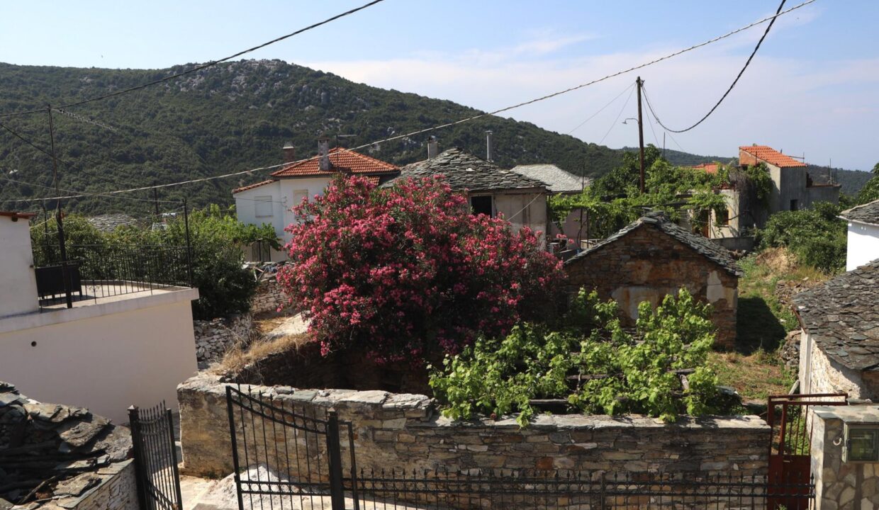 Mountain_View_Nikolaou_Apartments_Ground_Floor_Keramidi_Pelion