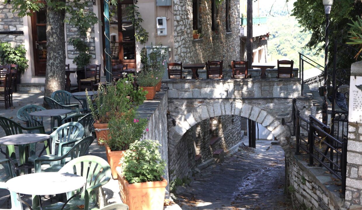 Plaza_Village1_Nikolaou_Apartments_Ground_Floor_Keramidi_Pelion