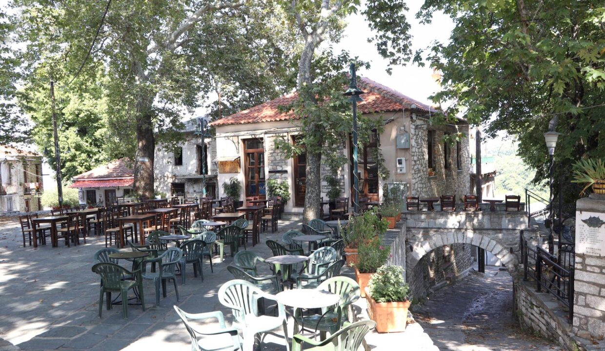 Plaza_Village_Nikolaou_Apartments_Ground_Floor_Keramidi_Pelion