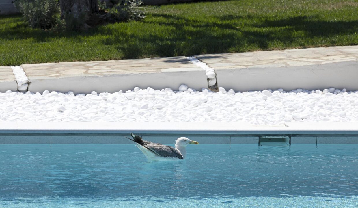 SwimmingPool_Lichnos_Luxury_Studio_Nies_Magnesia
