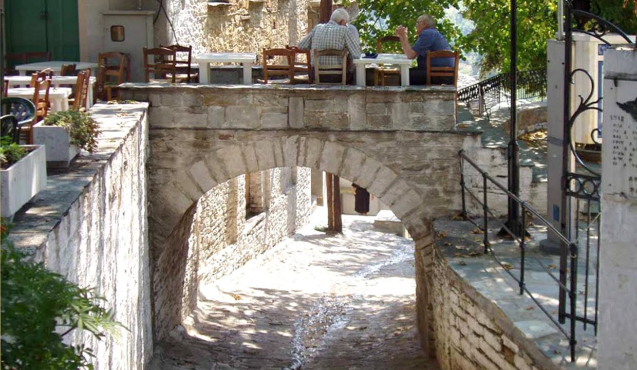 Village1_Nikolaou_Apartments_Ground_Floor_Keramidi_Pelion