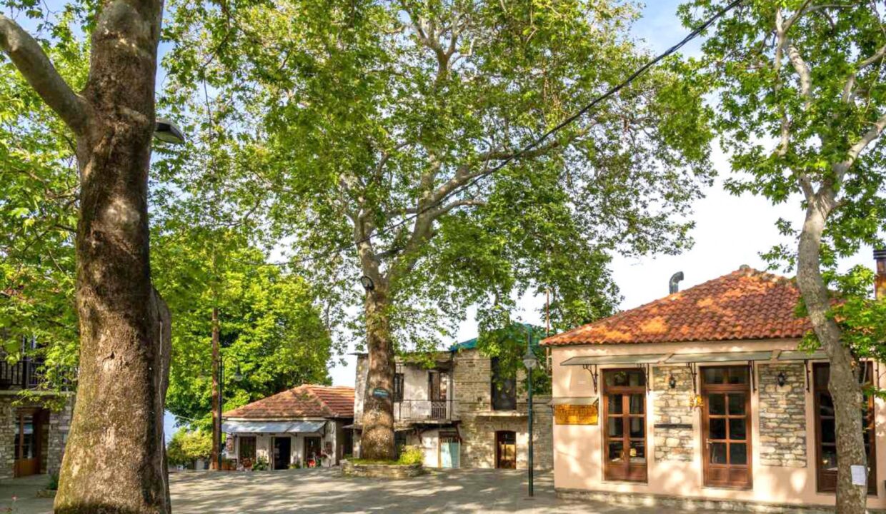 Village_Nikolaou_Apartments_Ground_Floor_Keramidi_Pelion