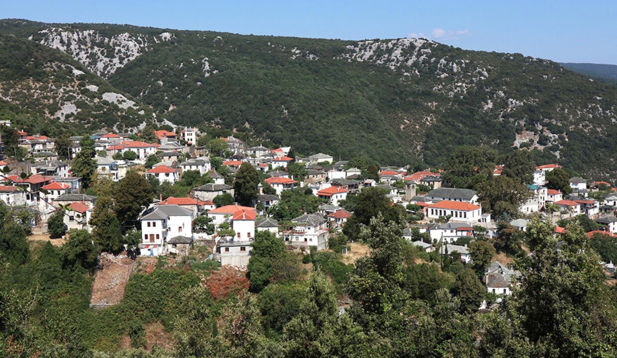 Village_View_Nikolaou_Apartments_Ground_Floor_Keramidi_Pelion