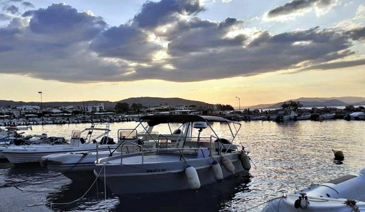 Volos_Terra_Deluxe_Port
