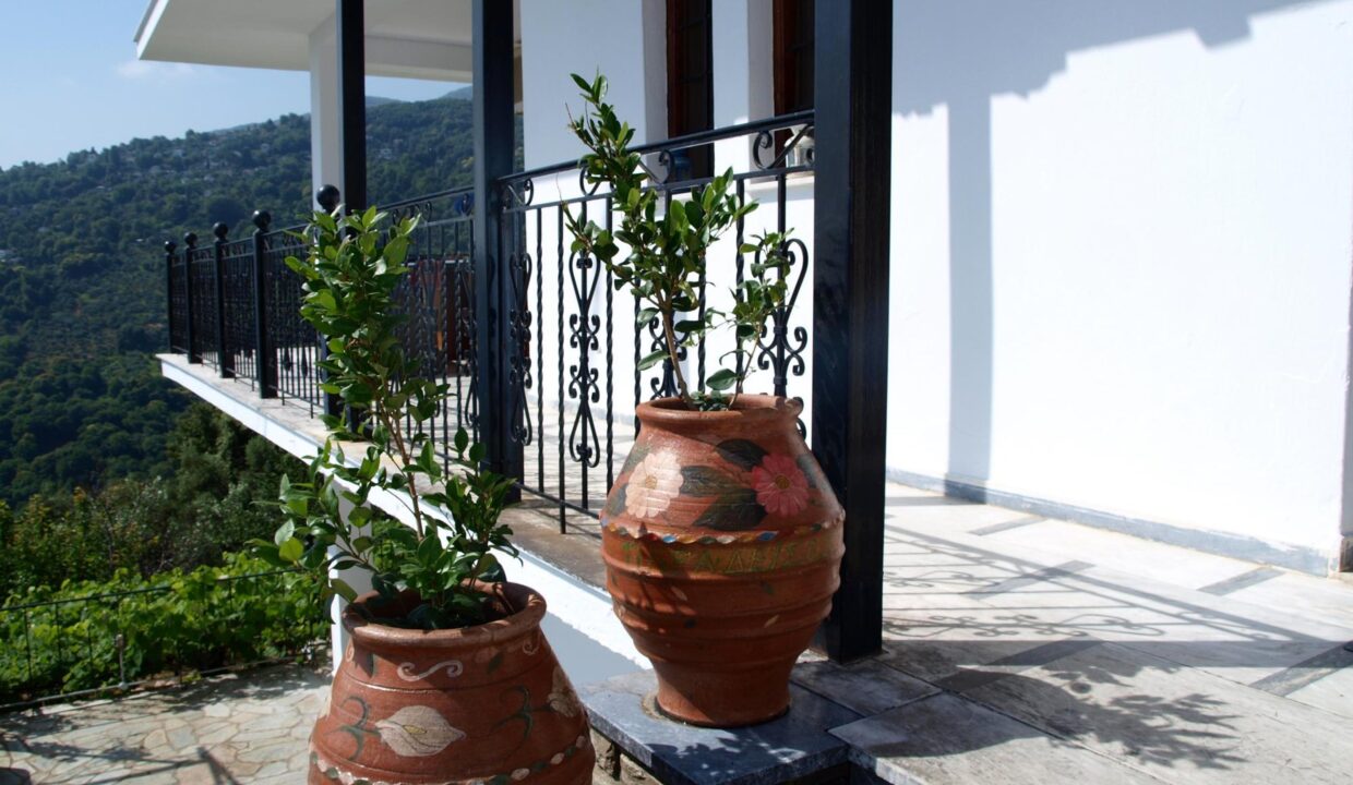 accommodation_1_Paradeisos_Αpartment_with_Sea_View