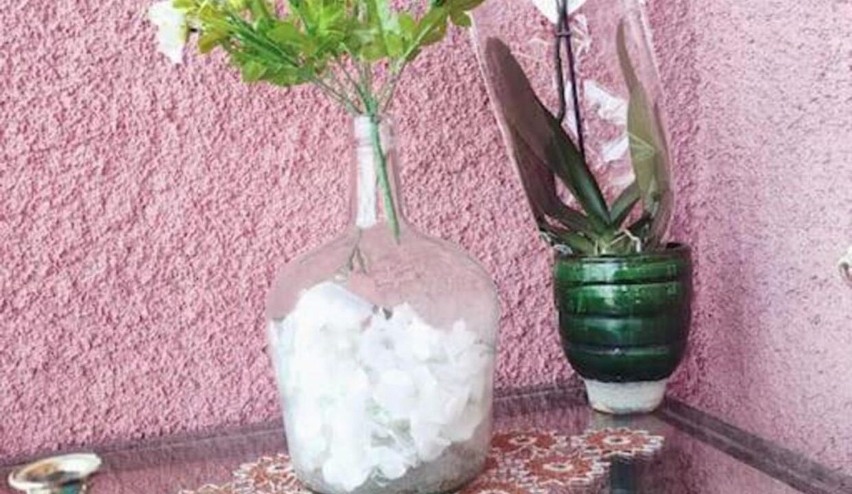 design_Haras_House_Pelion